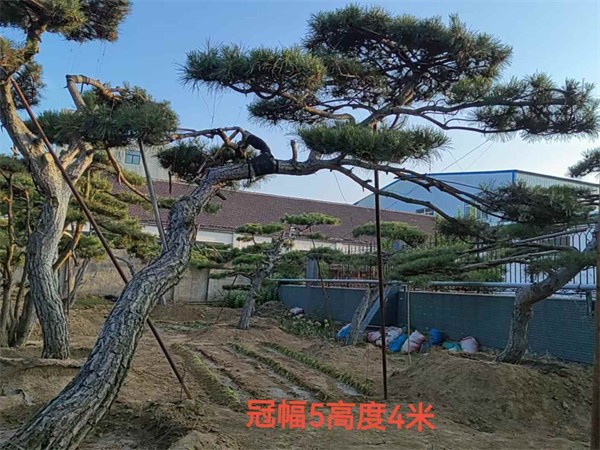 2ee68aebe8723b23000bcbaf09dd1a4.jpg